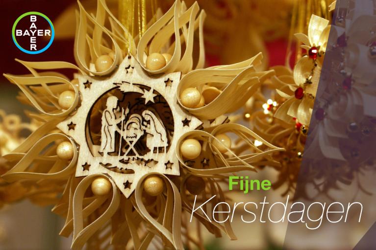 Fijne kerstdagen, star with nativity motif