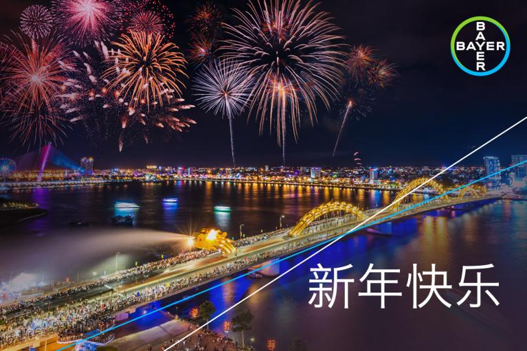 新年快乐