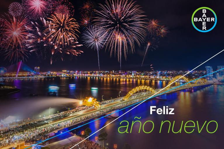 Feliz año nuevo