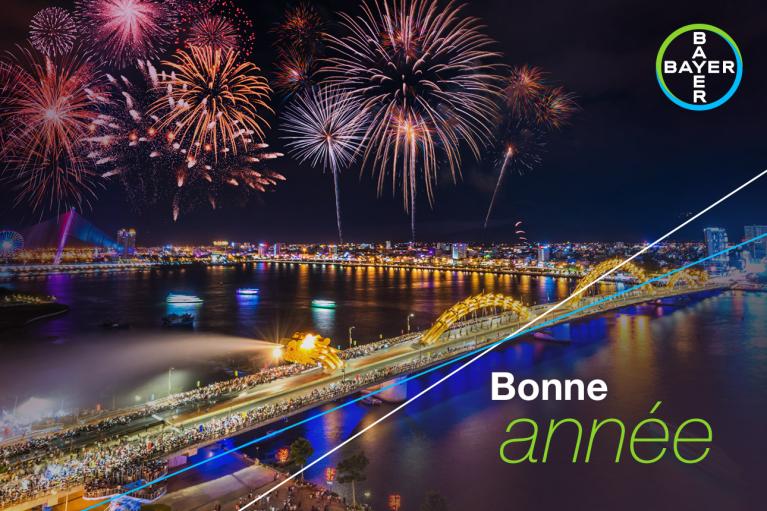 Bonne année