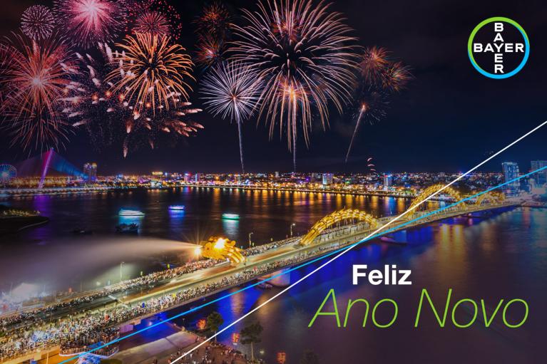 Feliz Ano Novo