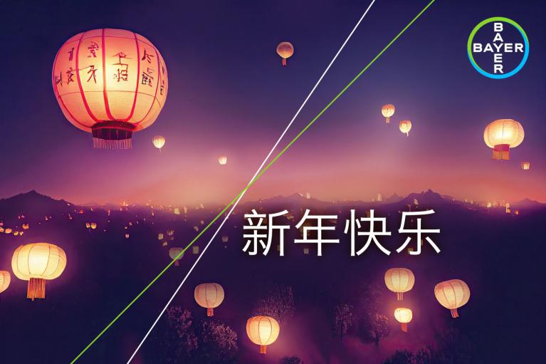 新年快乐