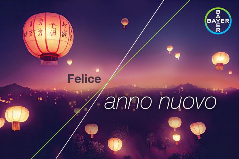 Felice anno nuovo