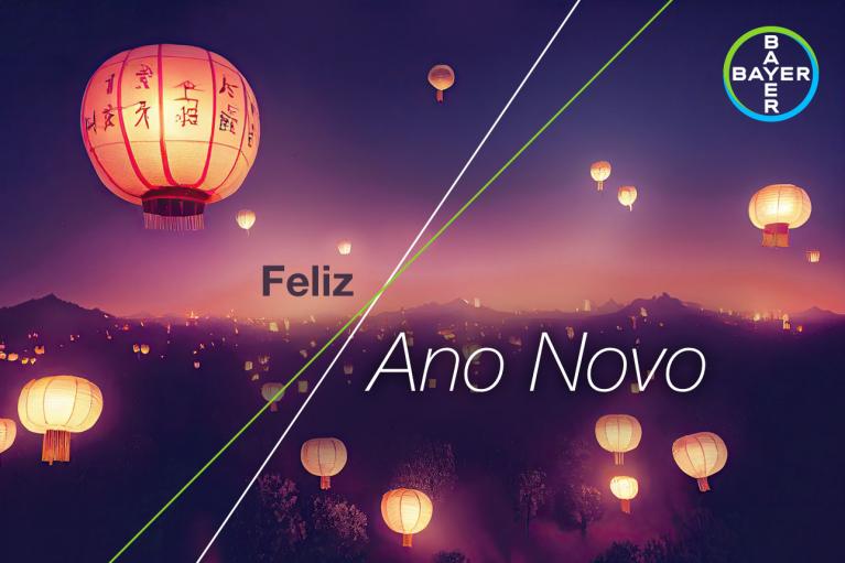 Feliz Ano Novo
