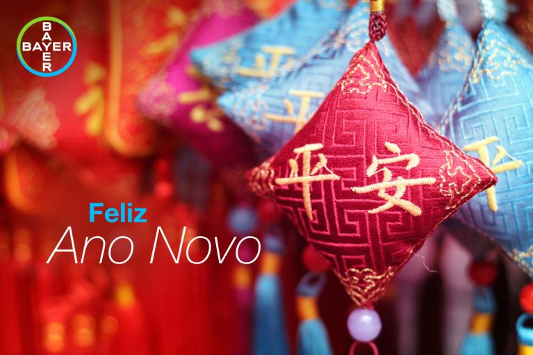 Feliz Ano Novo