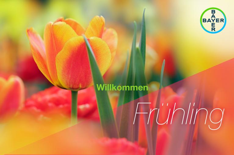 Willkommen Frühling