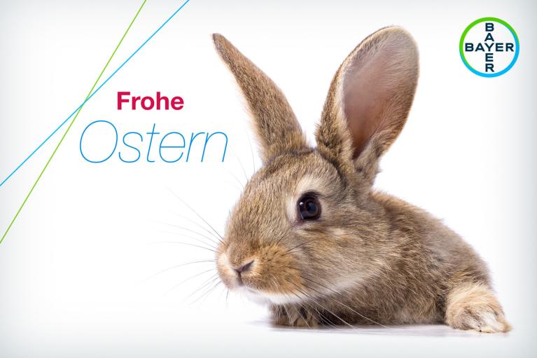 Frohe Ostern