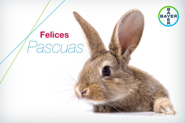 Felices Pascuas