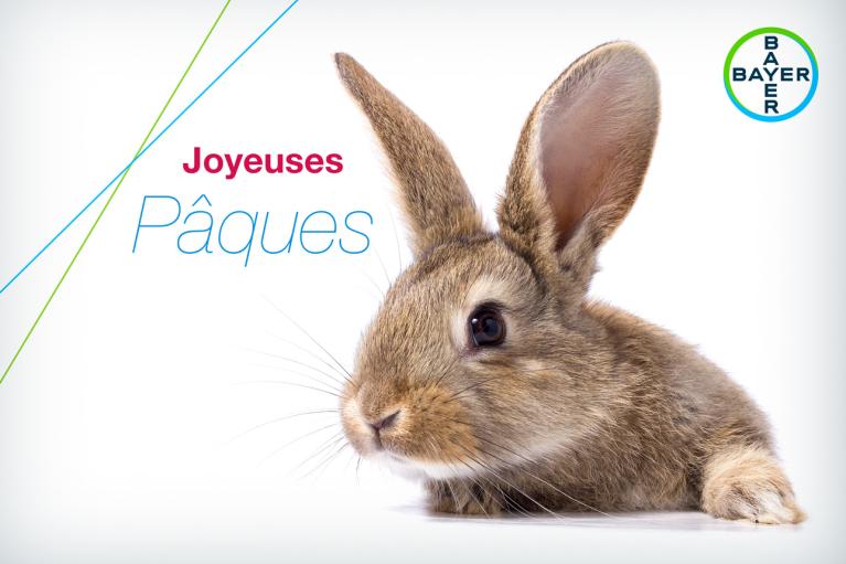 Joyeuses Pâques