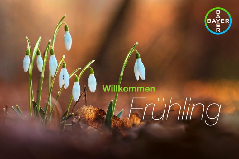 Willkommen Frühling