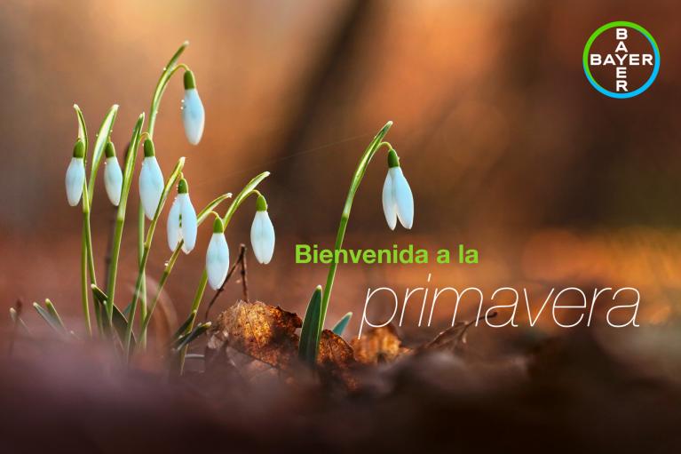 Bienvenida a la primavera