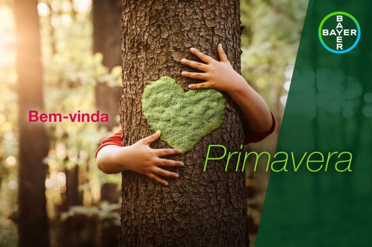 Bem-vinda Primavera
