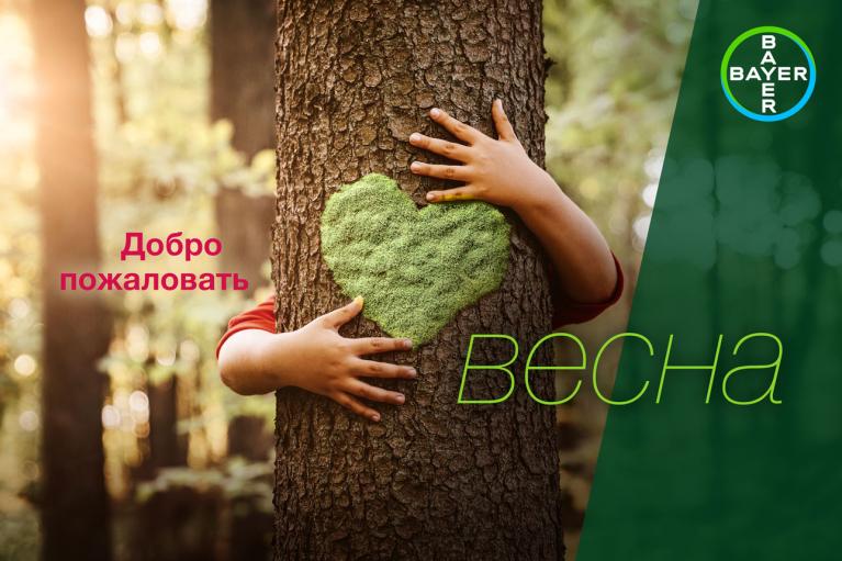 Добро пожаловать весна
