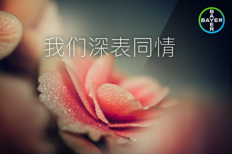 我们深表同情