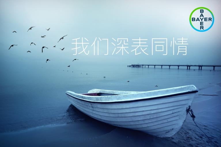 我们深表同情