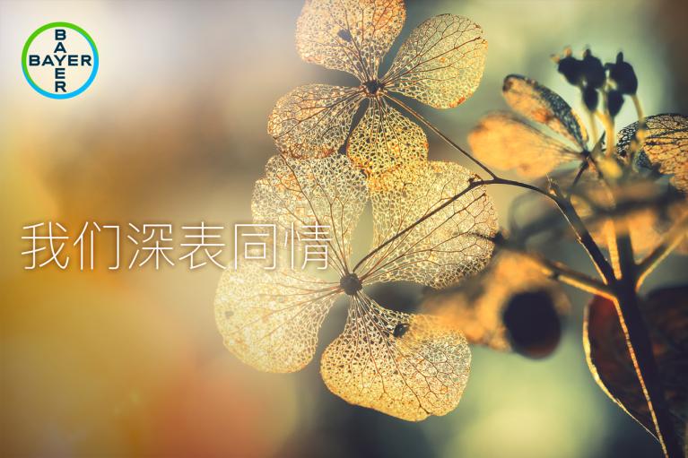 我们深表同情