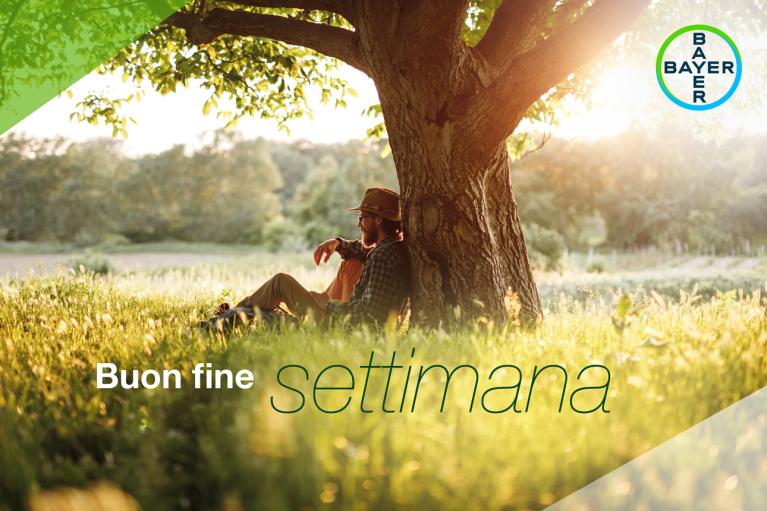 Buon fine settimana