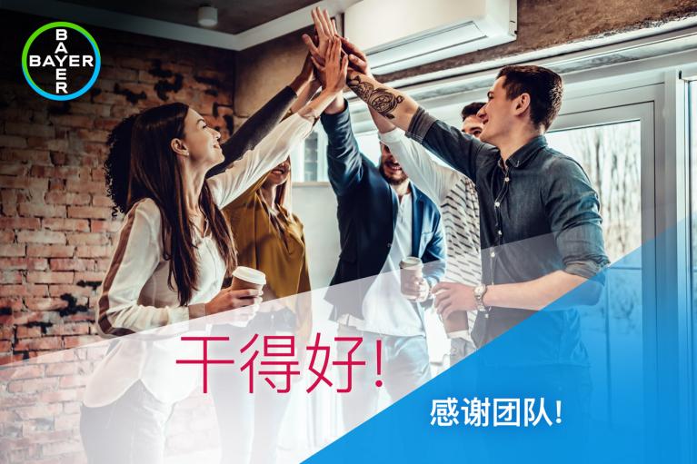 干得好！ 感谢团队!