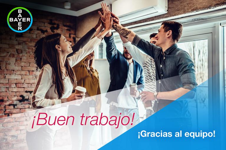 ¡Buen trabajo! ¡Gracias al equipo!