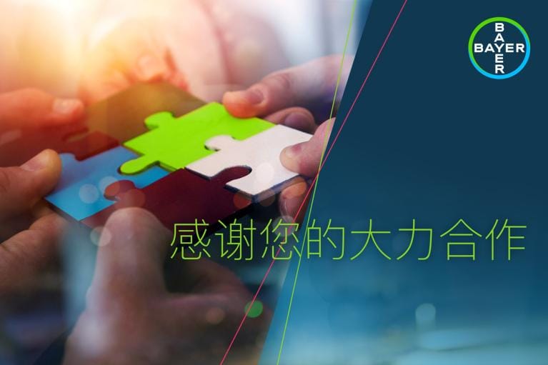 感谢您的大力合作。