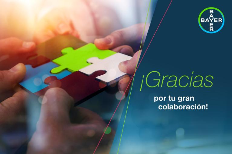 ¡Gracias por tu gran colaboración!