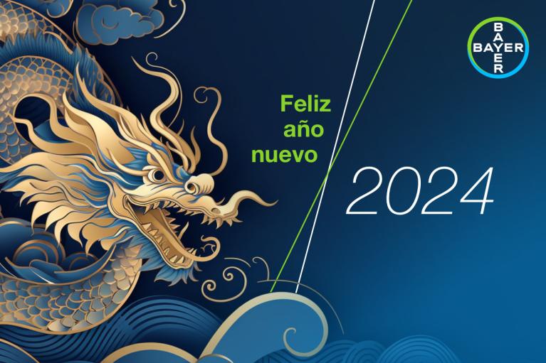 Feliz año nuevo