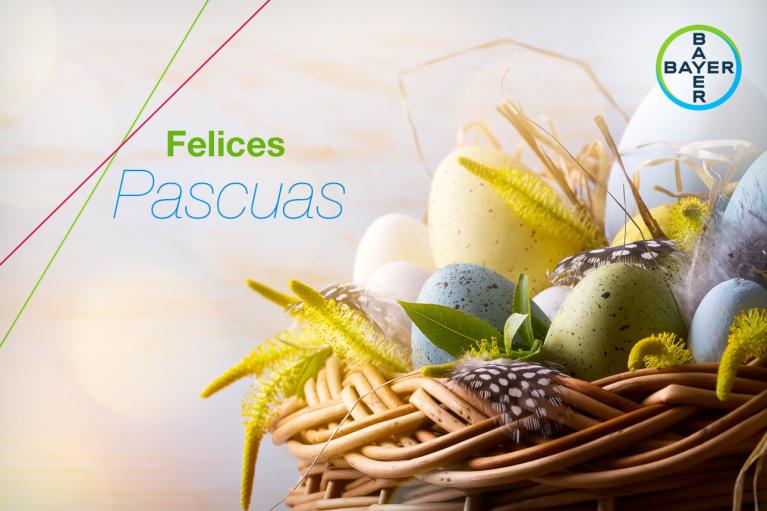 Felices Pascuas, Basket with colorful eggs