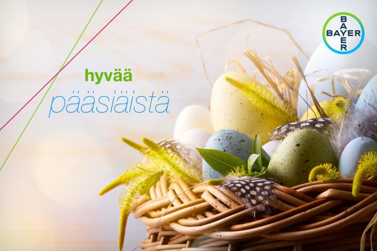 hyvää pääsiäistä, Basket with colorful eggs