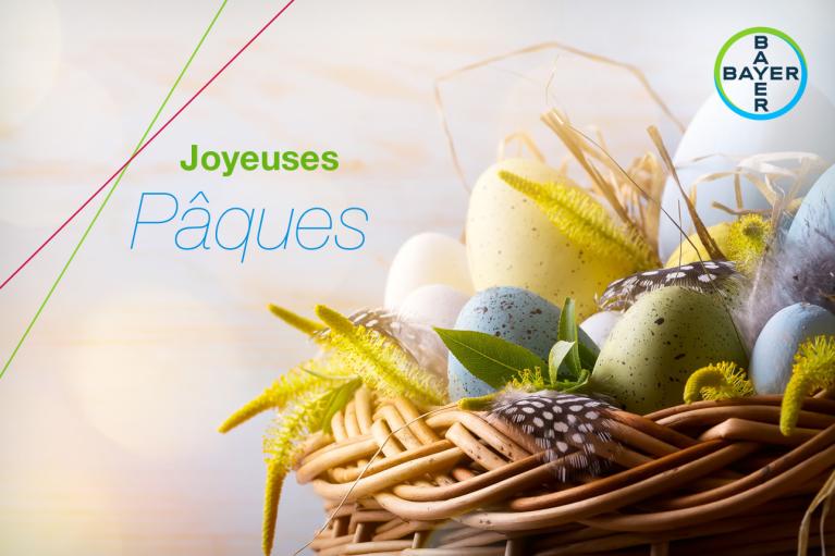 Joyeuses Pâques, Basket with colorful eggs