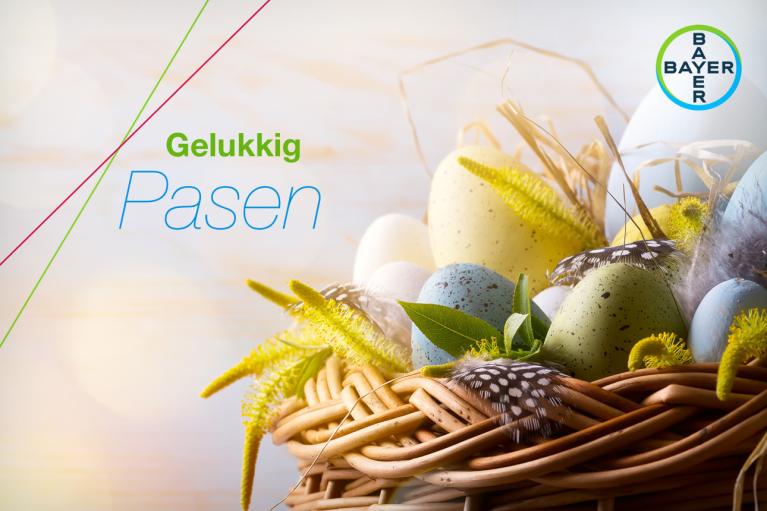 Gelukkig Pasen, Basket with colorful eggs