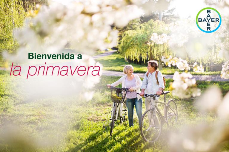 Bienvenida a la primavera, Cycles