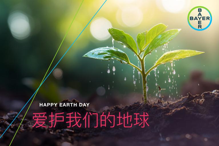 Happy Earth Day - 爱护我们的地球