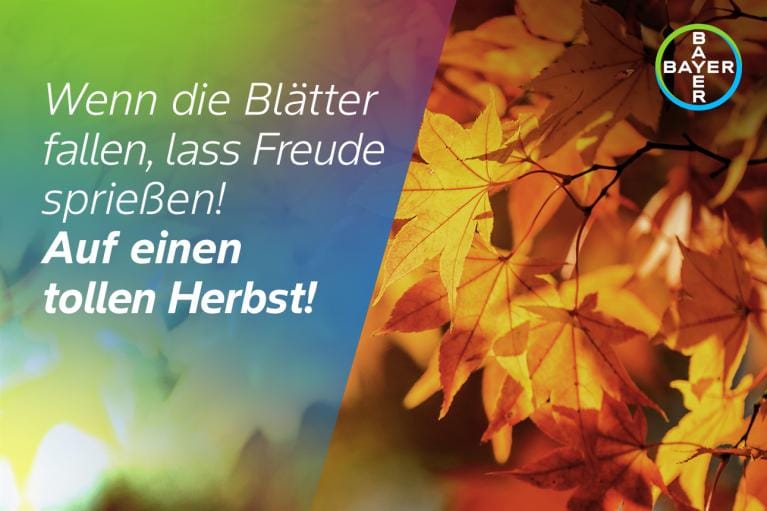 Wenn die Blätter fallen, lass Freude sprießen! Auf einen tollen Herbst!