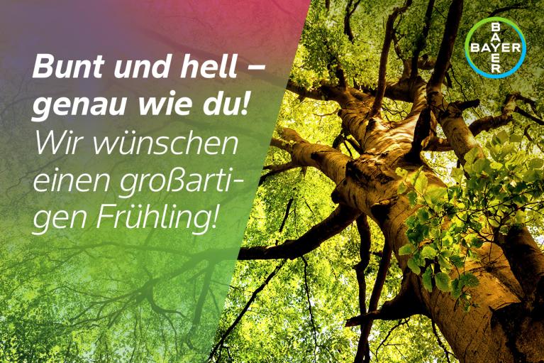 Bunt und hell – genau wie du! Wir wünschen einen großartigen Frühling!