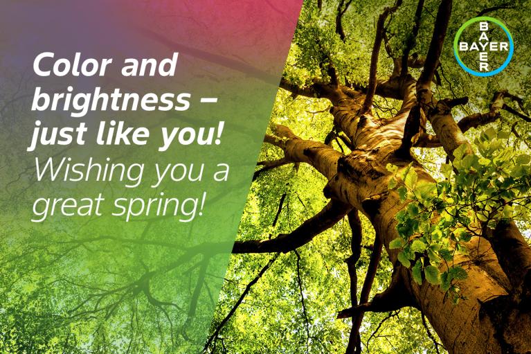 Color and brightness - just like you! Wishing you a great spring!