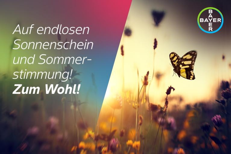 Auf endlosen Sonnenschein und Sommerstimmung! Zum Wohl!