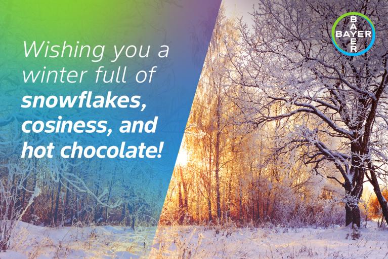 Wishing you a winter full of snowflakes, cosiness, and hot chocolate!