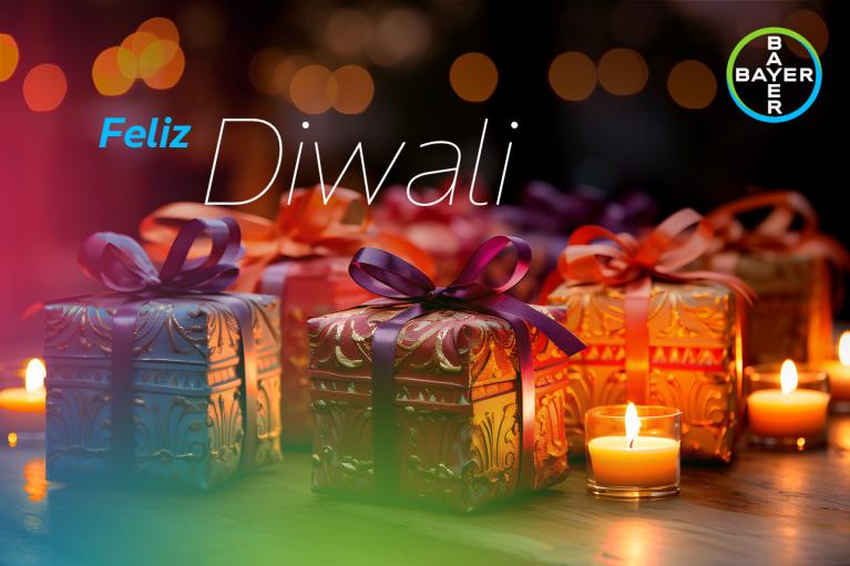 Feliz Diwali