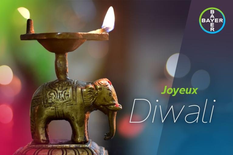 Joyeux Diwali