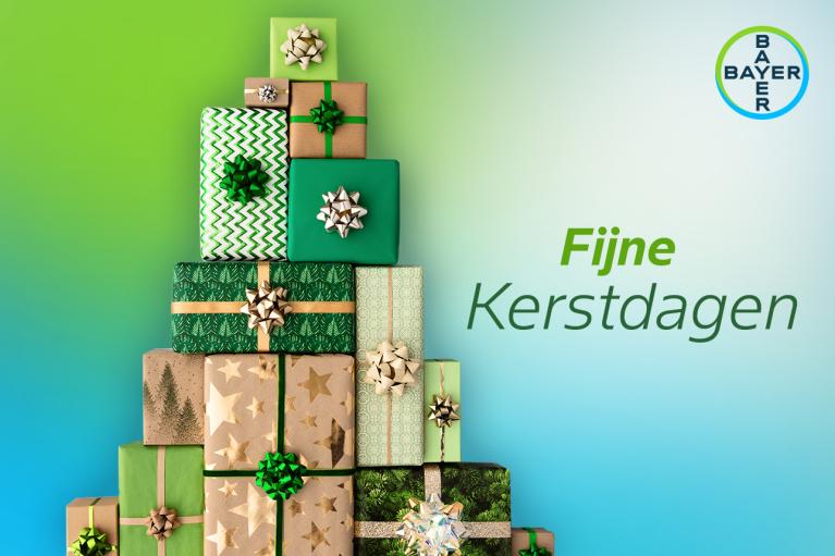 Fijne Kerstdagen