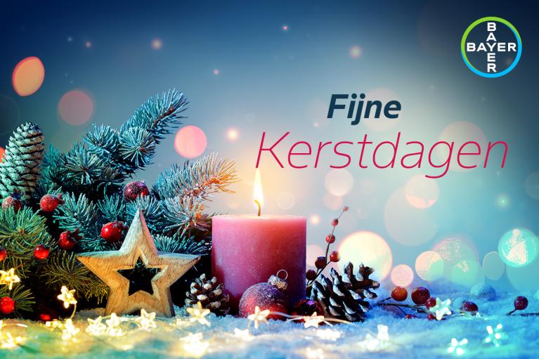 Fijne Kerstdagen