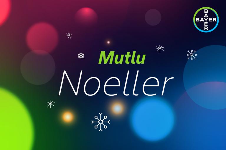 Mutlu Noeller