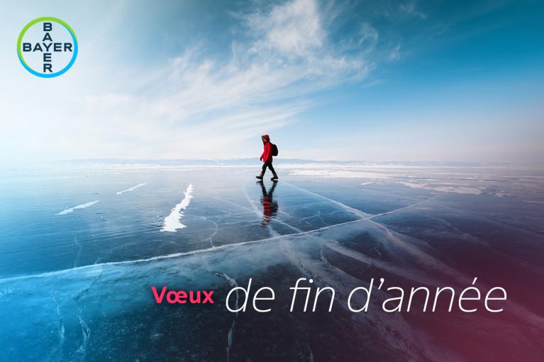 Vœux de fin d’année