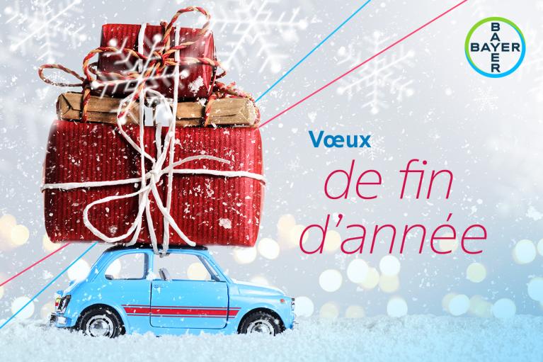 Vœux de fin d’année