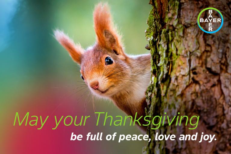 May your Thanksgiving be full of peace, love and joy.