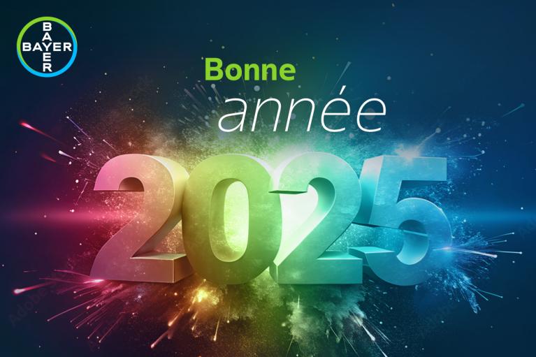 Bonne année