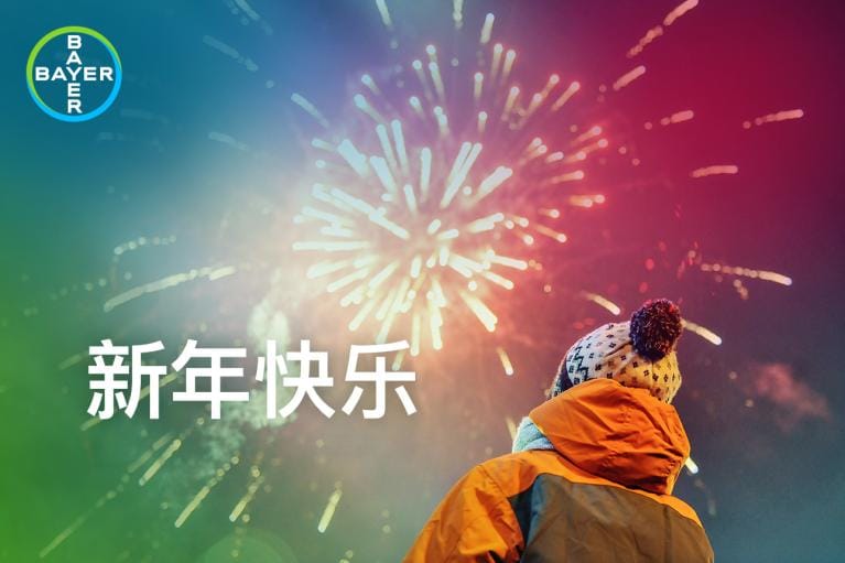 新年快乐