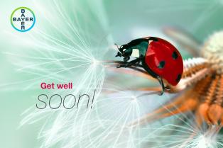 A ladybug on a dandelion with the text "Get well soon!" and the Bayer logo in the top left corner.