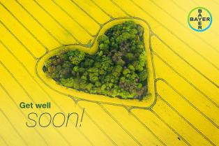 Aerial view of a heart-shaped grove in a yellow field, with "Get well soon!" and the Bayer logo in the corners.