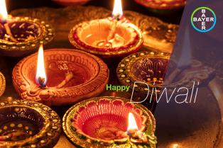 Lit decorative oil lamps on a tray with the text "Happy Diwali" and a Bayer logo in the corner.